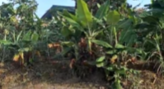 3 and Half Plots facing two Roads for Sale