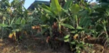 3 and Half Plots facing two Roads for Sale