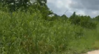 Land for Sale – 5 Plots Available in Biogbolo, Yenagoa