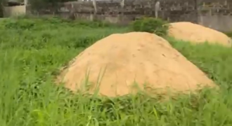 Land for Sale – 1.5 Plots in Azikoro Town, Yenagoa