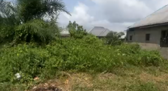 One Plot of Land for Sale in Azikoro, Yenagoa