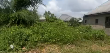 One Plot of Land for Sale in Azikoro, Yenagoa